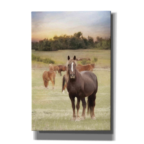Image of 'Jackson Horse Farm' by Lori Deiter, Canvas Wall Art
