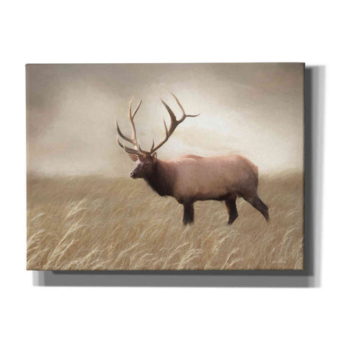 Image of 'Elk in the Field' by Lori Deiter, Canvas Wall Art