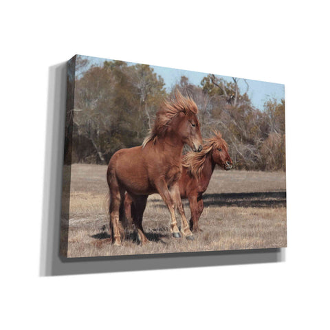 Image of 'Assateague Horses I' by Lori Deiter, Canvas Wall Art
