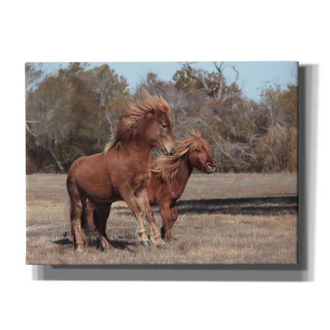 Image of 'Assateague Horses I' by Lori Deiter, Canvas Wall Art