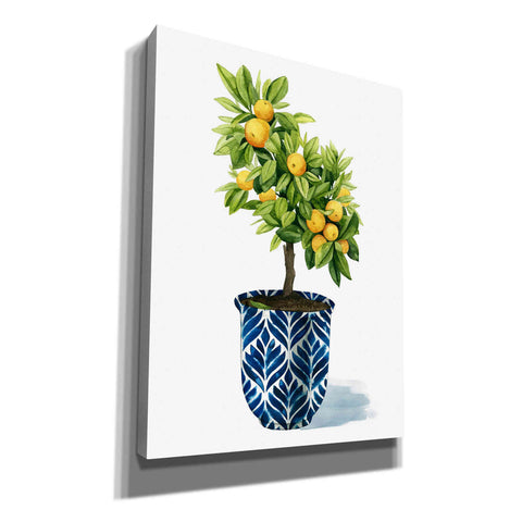 Image of 'Fruit Tree I' by Grace Popp, Canvas Wall Art