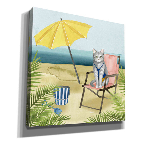 Image of 'Coastal Kitties II' by Grace Popp, Canvas Wall Art