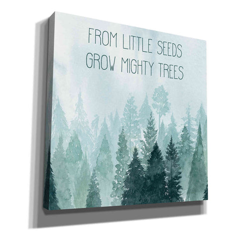 Image of 'Little Grower I' by Grace Popp, Canvas Wall Art