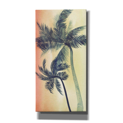 Image of 'Vintage Palms I' by Grace Popp, Canvas Wall Art