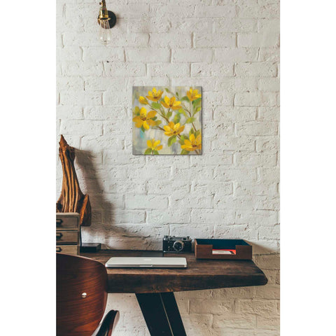 Image of 'Golden Bloom I' by Silvia Vassileva, Canvas Wall Art,12 x 12