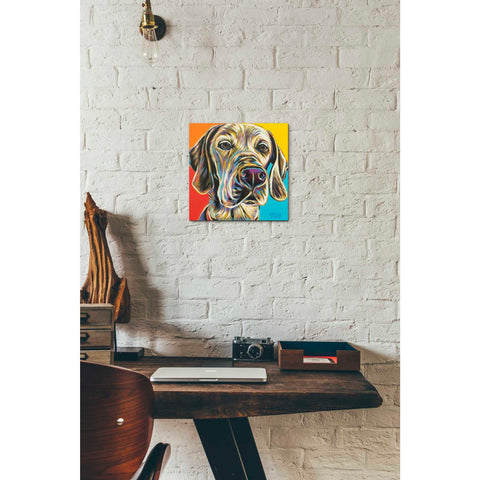 Image of 'Canine Buddy II' by Carolee Vitaletti, Giclee Canvas Wall Art