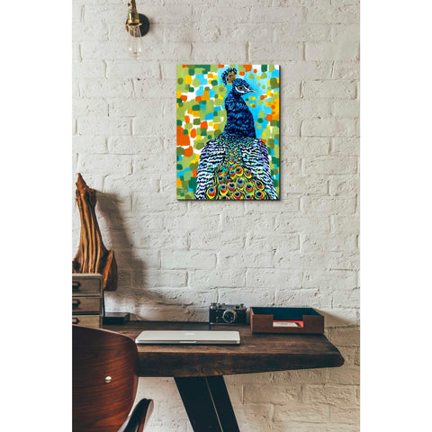Image of 'Plumed Peacock II' by Carolee Vitaletti, Giclee Canvas Wall Art