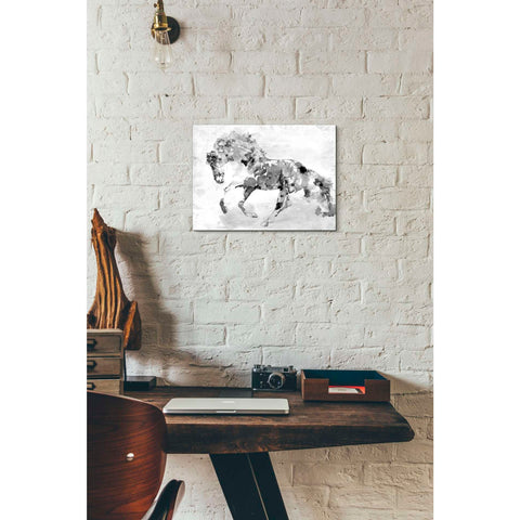 Image of 'Beautiful Floral Horse 1-4' by Irena Orlov, Canvas Wall Art,16 x 12