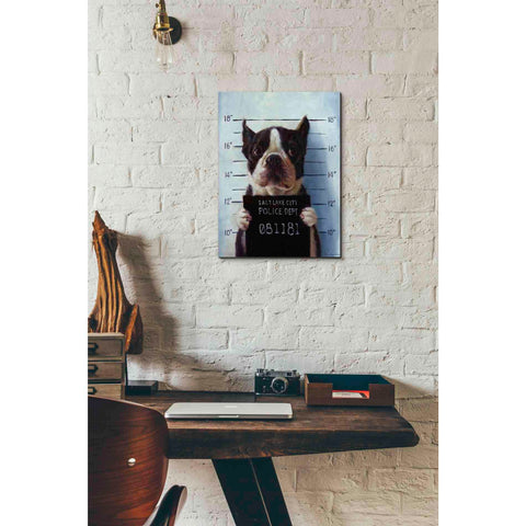 Image of 'Mug Shot' by Lucia Heffernan, Canvas Wall Art,12 x 16