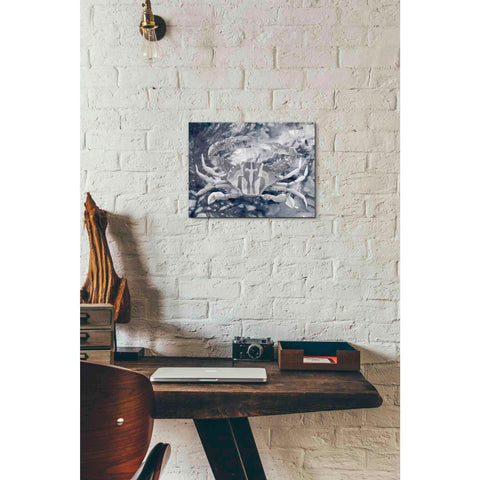 Image of 'Ocean Collection 5' by Stellar Design Studio, Canvas Wall Art,16 x 12