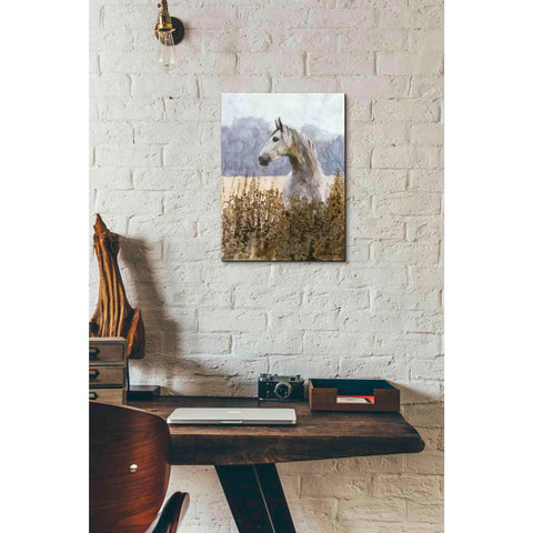 Image of 'Beauty' by Stellar Design Studio, Canvas Wall Art,12 x 16