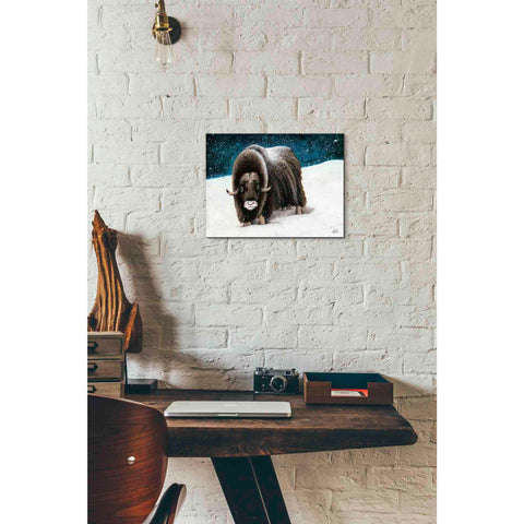 Image of 'Dressed for Winter' by Britt Hallowell, Canvas Wall Art,16 x 12