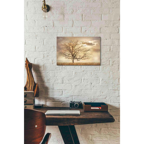 Image of 'Golden Tree' by Lori Deiter, Canvas Wall Art,18 x 12