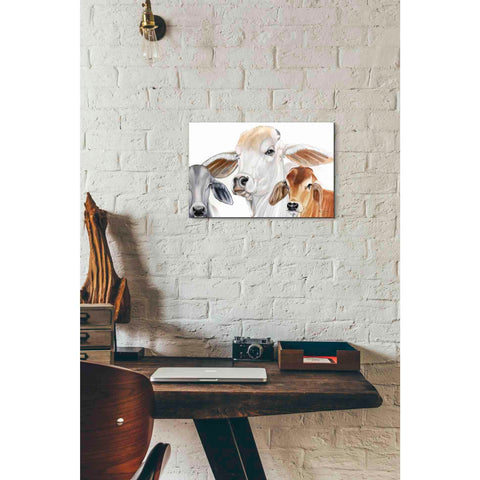 Image of 'Ranch Life' by Diane Fifer, Giclee Canvas Wall Art