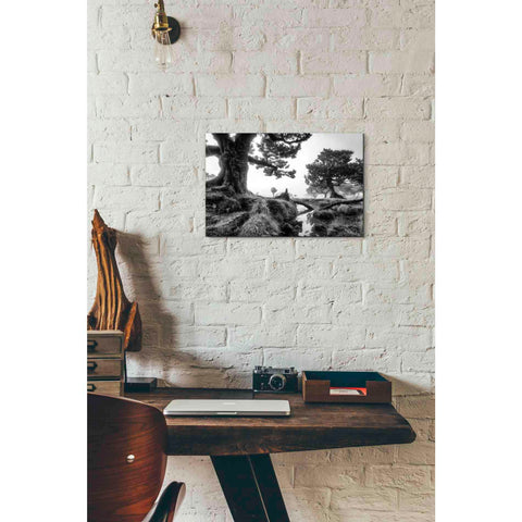 Image of 'Black & White Fanal' by Martin Podt, Canvas Wall Art,18 x 12