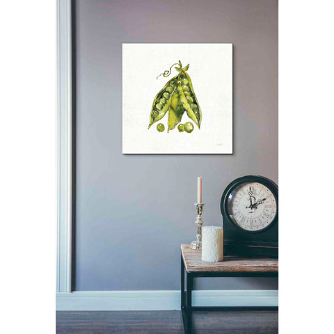 Image of 'Veggie Market IV Peas' by Anne Tavoletti, Canvas Wall Art,18 x 18