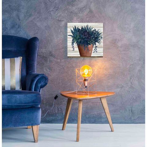 Image of 'Remarkable Succulents II' by Cindy Jacobs, Canvas Wall Art,18 x 18