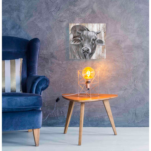 Image of 'Eyes Wide Open' by Diane Fifer, Giclee Canvas Wall Art