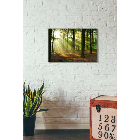 Image of 'Rays of Light' Giclee Canvas Wall Art