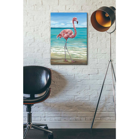 Image of 'Beach Walker Flamingo I' by Carolee Vitaletti, Giclee Canvas Wall Art