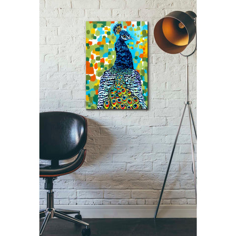 Image of 'Plumed Peacock II' by Carolee Vitaletti, Giclee Canvas Wall Art