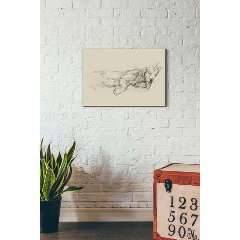Image of 'Dog Days III' by Ethan Harper Canvas Wall Art,26 x 18