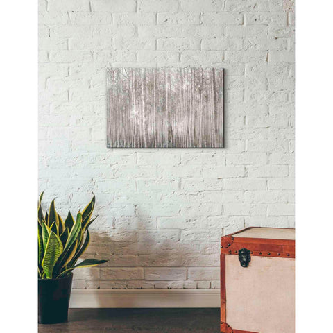 Image of 'Birch Trees' by Bluebird Barn, Canvas Wall Art,26 x 18