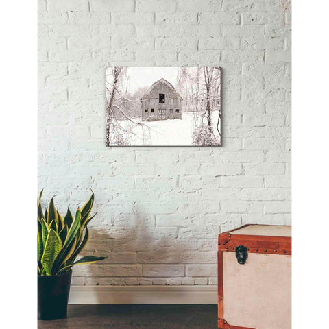 Image of 'The New Tenant' by Lori Deiter, Canvas Wall Art,26 x 18