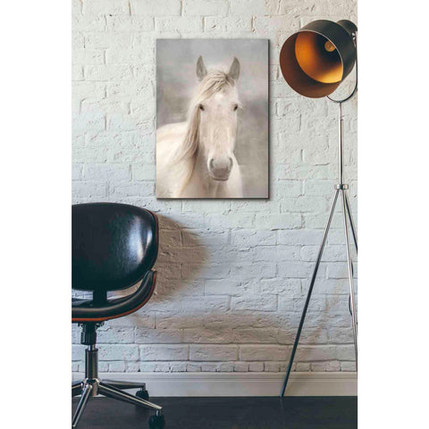 Image of 'White Beauty I' by Lori Deiter, Canvas Wall Art,18 x 26