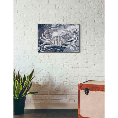 Image of 'Ocean Collection 5' by Stellar Design Studio, Canvas Wall Art,26 x 18