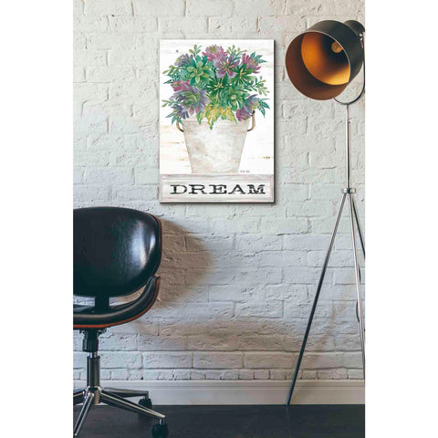 Image of 'Dream Succulents' by Cindy Jacobs, Giclee Canvas Wall Art