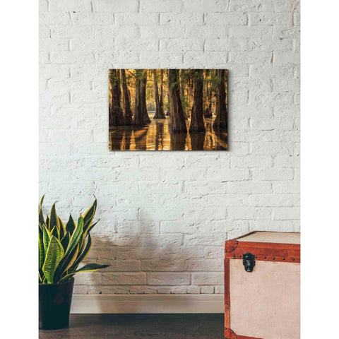 Image of 'Natural Beauty' by Martin Podt, Canvas Wall Art,26 x 18