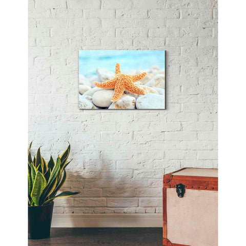 Image of 'Sea Star Dreams' Giclee Canvas Wall Art