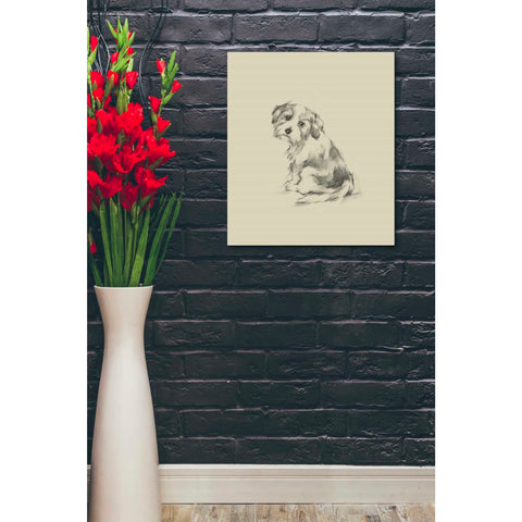 Image of 'Puppy Dog Eyes III' by Ethan Harper Canvas Wall Art,20 x 24