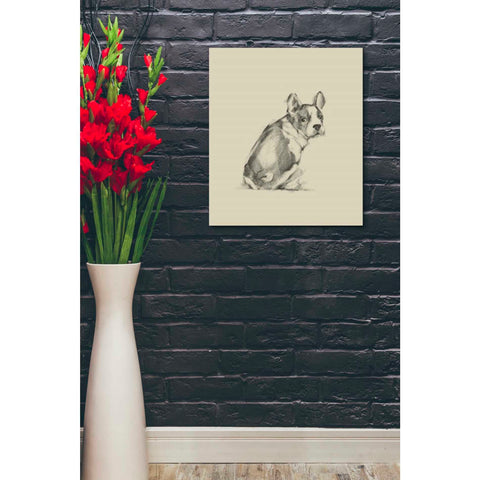Image of 'Puppy Dog Eyes IV' by Ethan Harper Canvas Wall Art,20 x 24