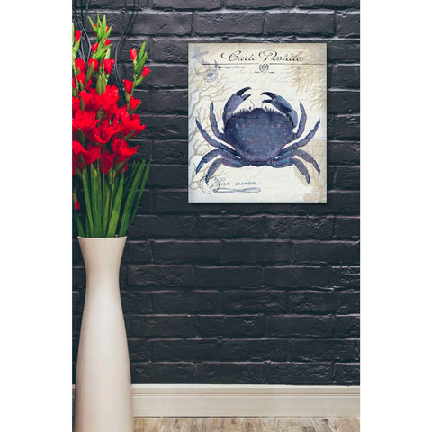 Image of 'Seaside Postcard Cream e,' by Fab Funky, Canvas Wall Art,20 x 24