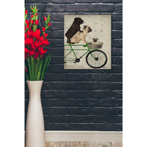 Image of 'Pugs on Bicycle,' by Fab Funky, Giclee Canvas Wall Art