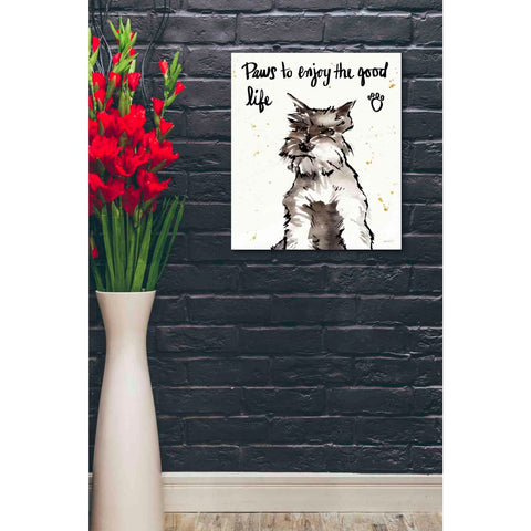 Image of 'Strike a Paws XIV' by Anne Tavoletti, Canvas Wall Art,20 x 24