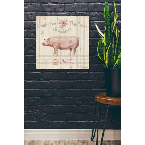 Image of 'Farm Patchwork VI' by Danhui Nai, Canvas Wall Art,26 x 26