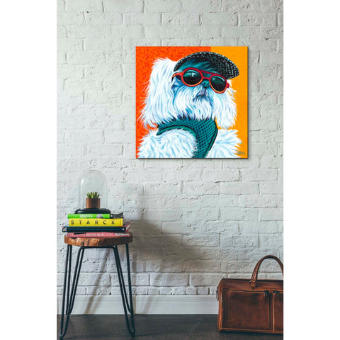 Image of 'Cute Pups IV' by Carolee Vitaletti, Giclee Canvas Wall Art