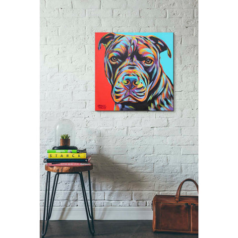 Image of 'Canine Buddy III' by Carolee Vitaletti, Giclee Canvas Wall Art