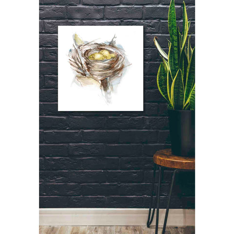 Image of 'Bird Nest Study III' by Ethan Harper, Canvas Wall Art,26 x 26