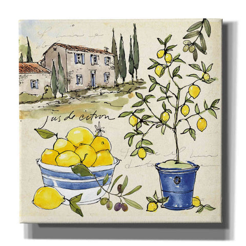 Image of 'Citron III' by Anne Tavoletti, Canvas Wall Art,26 x 26