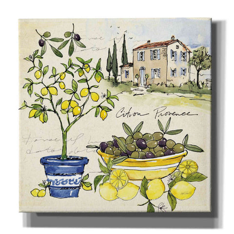 Image of 'Citron IV' by Anne Tavoletti, Canvas Wall Art,26 x 26