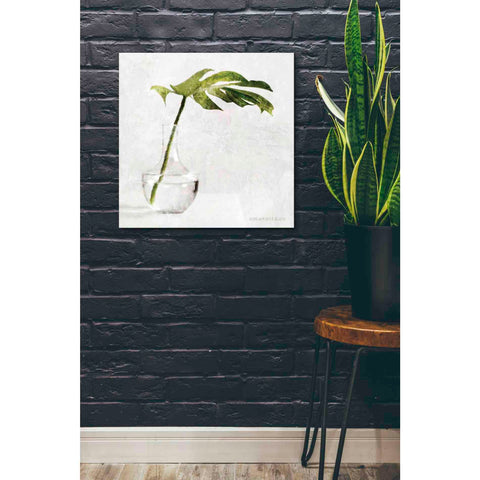 Image of 'Single Green Stem in Glass' by Bluebird Barn, Canvas Wall Art,26 x 26