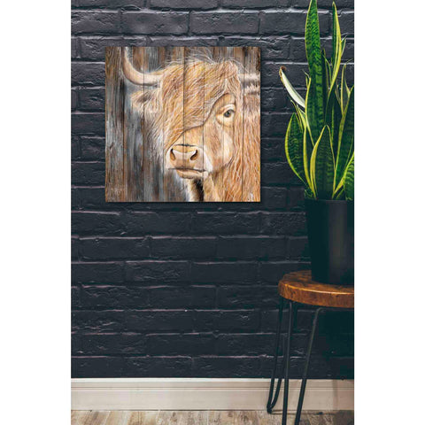 Image of 'A Windy Day on the Farm' by Diane Fifer, Giclee Canvas Wall Art