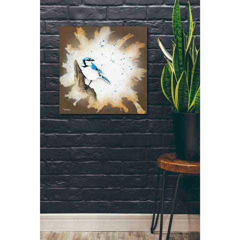 Image of 'Weathered Friends - Blue Jay' by Britt Hallowell, Canvas Wall Art,26 x 26