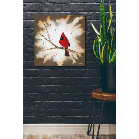 Image of 'Weathered Friends - Cardinal' by Britt Hallowell, Canvas Wall Art,26 x 26