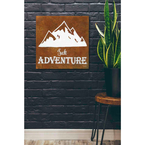 Image of 'Seek Adventure' by Britt Hallowell, Canvas Wall Art,26 x 26