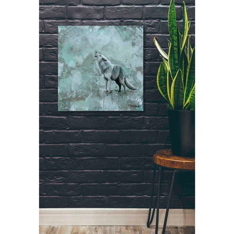 Image of 'Simplicity Wolf' by Britt Hallowell, Canvas Wall Art,26 x 26